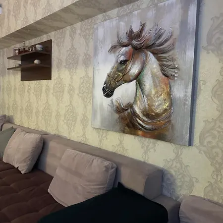Apartament V I P *