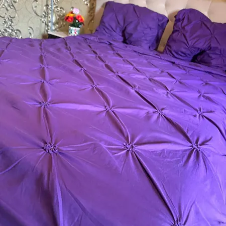 Apartament V I P *