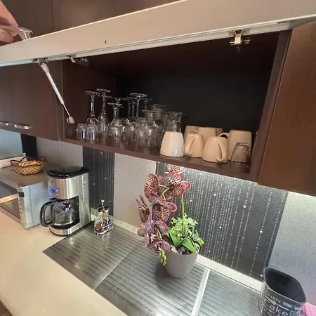 Daire V I P Bükreş