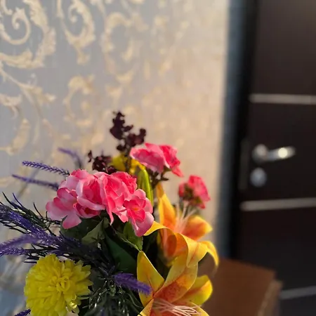 Apartament V I P *