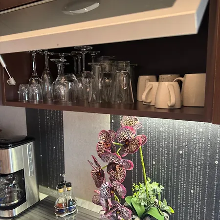 Apartament V I P
