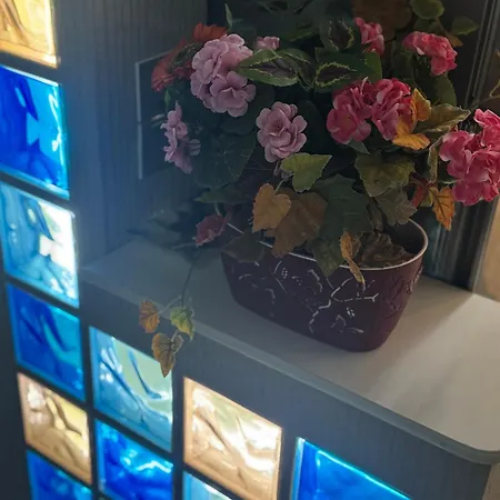 Appartement V I P Bucarest