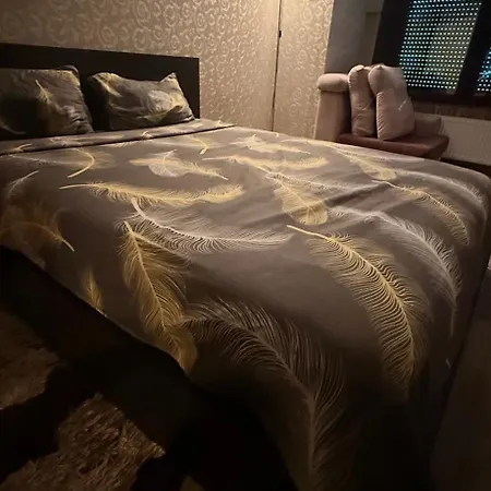Apartament V I P *