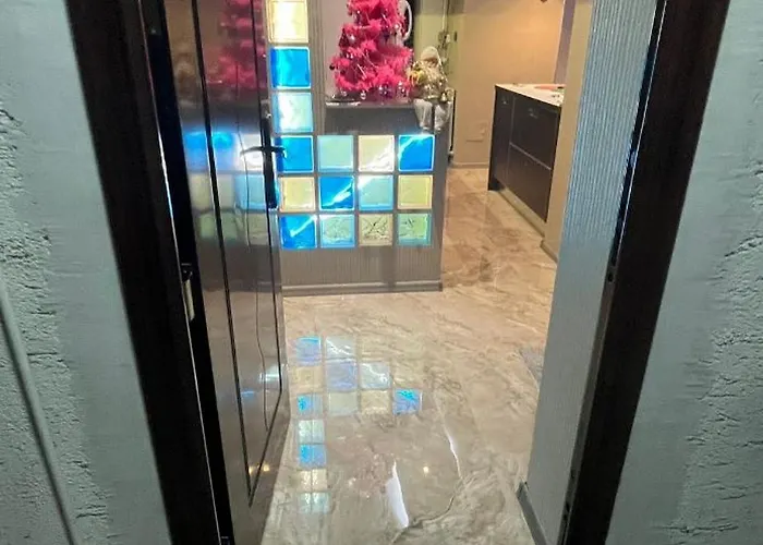 V I P * 布加勒斯特