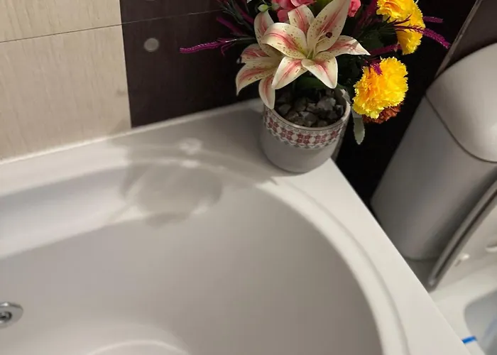 V I P Bukareszt