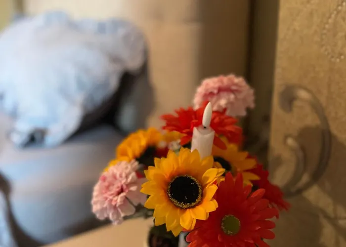 V I P * 布加勒斯特