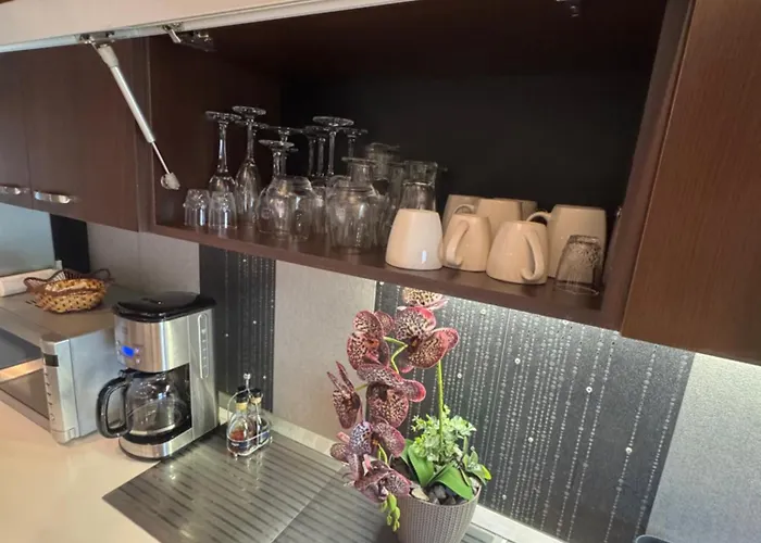 Apartment V I P Bukarest