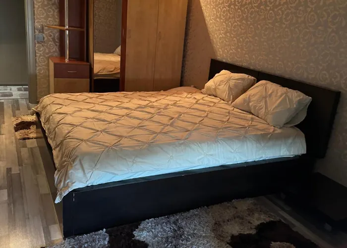 V I P * 布加勒斯特