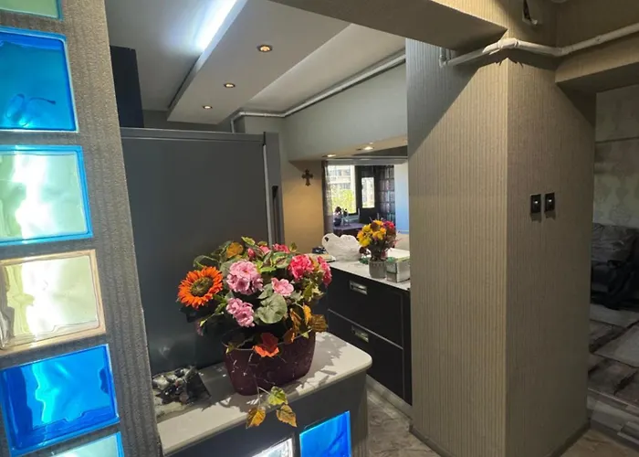 V I P 布加勒斯特