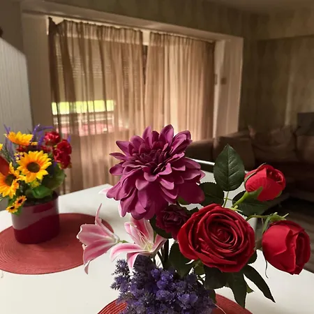 Apartman V I P Bukarest