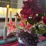 V I P Bucharest